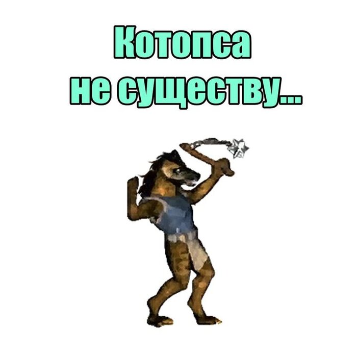  ,   , 