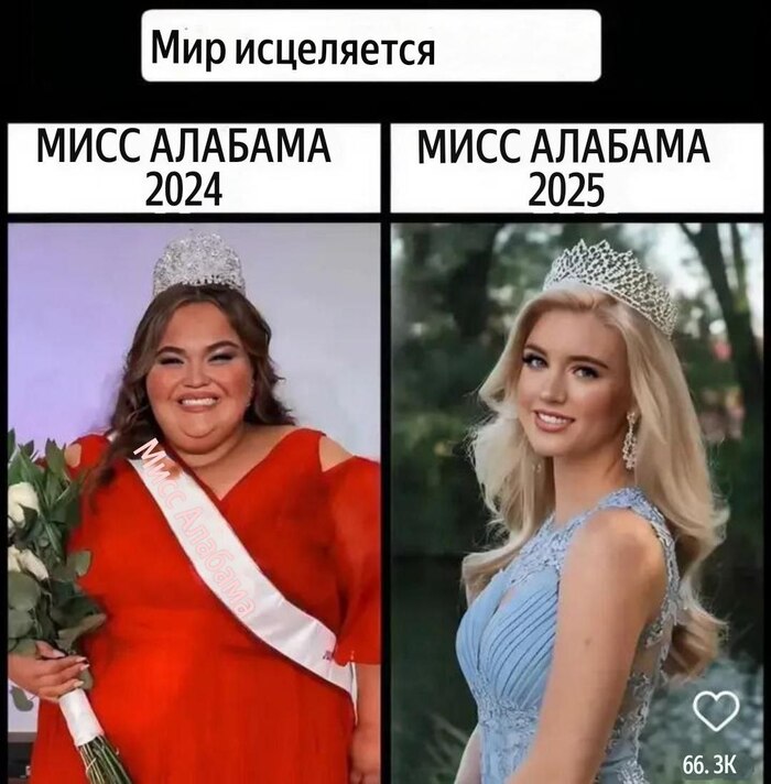   ? ,   , , 2024, 2025, Telegram (),  , , , 