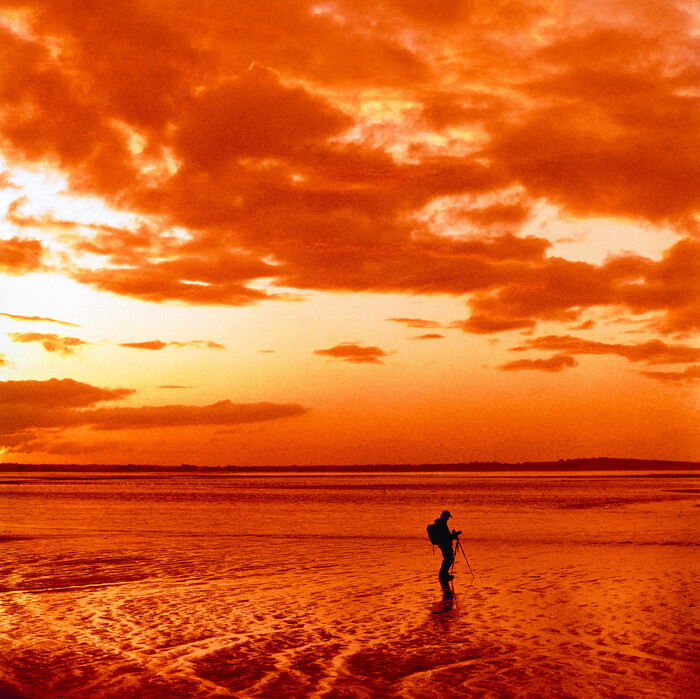  , ,  , Hasselblad, 