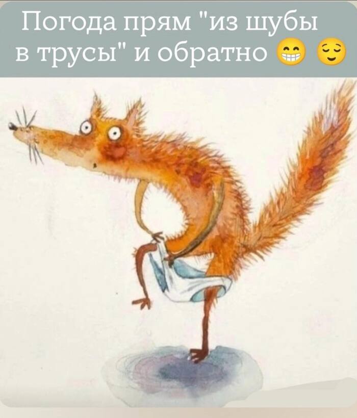   ,   , , 