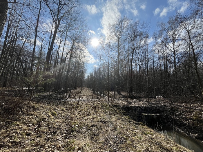Затмение-пати так и не состоялось.