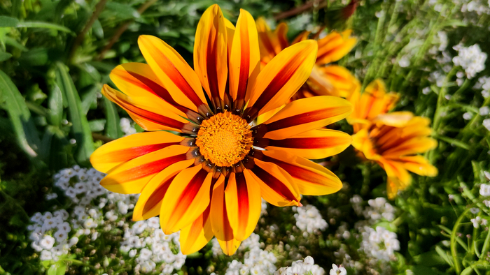 �������