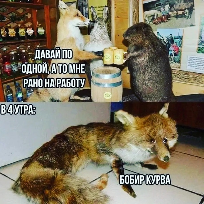   ,   ,  , , , 