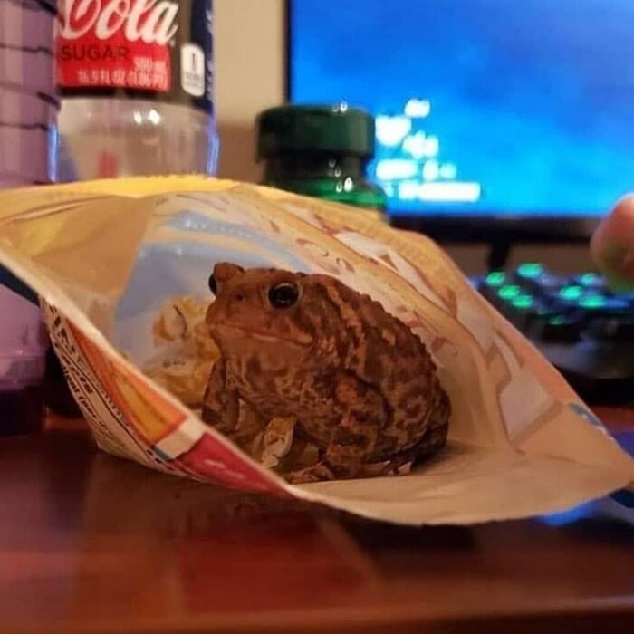 � ������