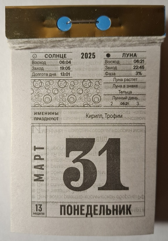 2025. 31   , 2025, , , 