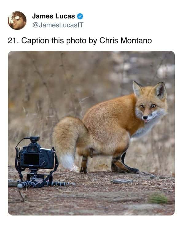     , , , ,  