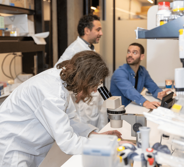  Itay&amp;Beyond       . : Dor Pazuelo/Itay&amp;Beyond