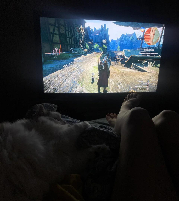 ������ � ����������� �������