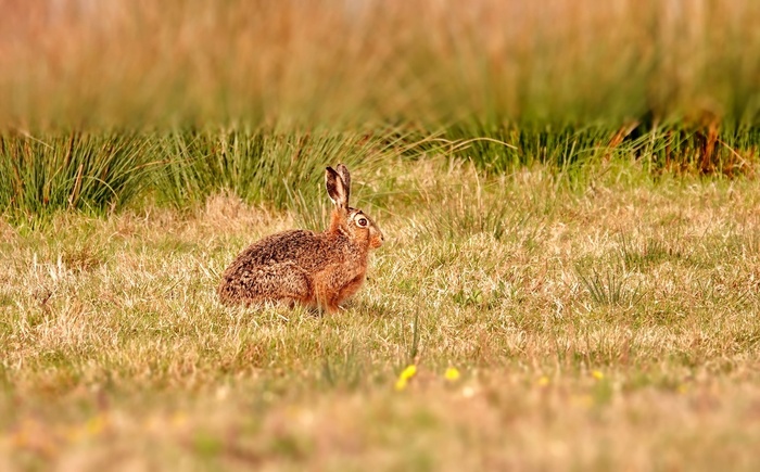 Сидел смотрел на меня одним глазом.