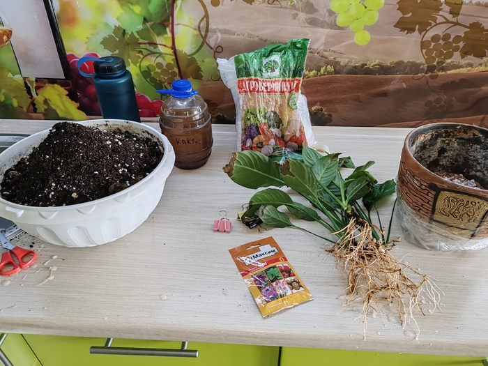        .     .    .  .     .     . 