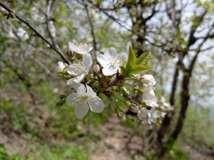 Пробуждение