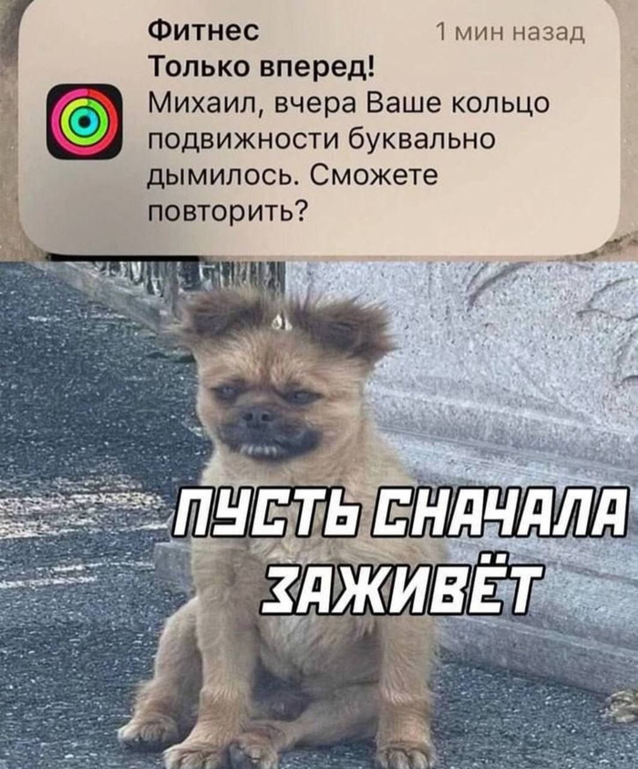    , , ,   , -