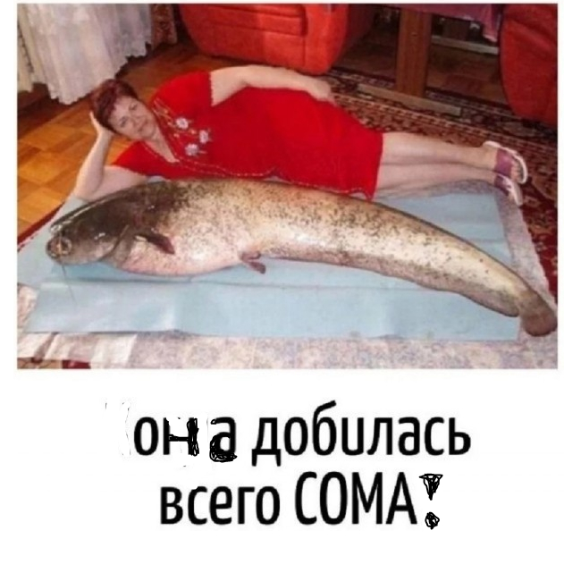 --     : , , ,  ,   