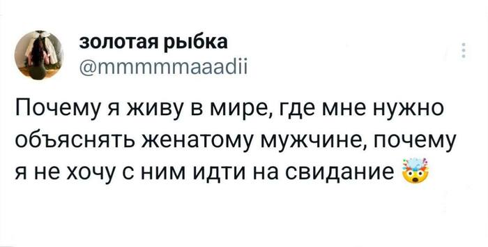      , , X (Twitter), , , , Telegram ()