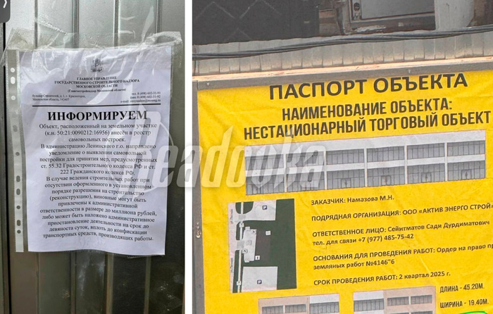 А что по этому поводу думает товарищ Бастрыкин?