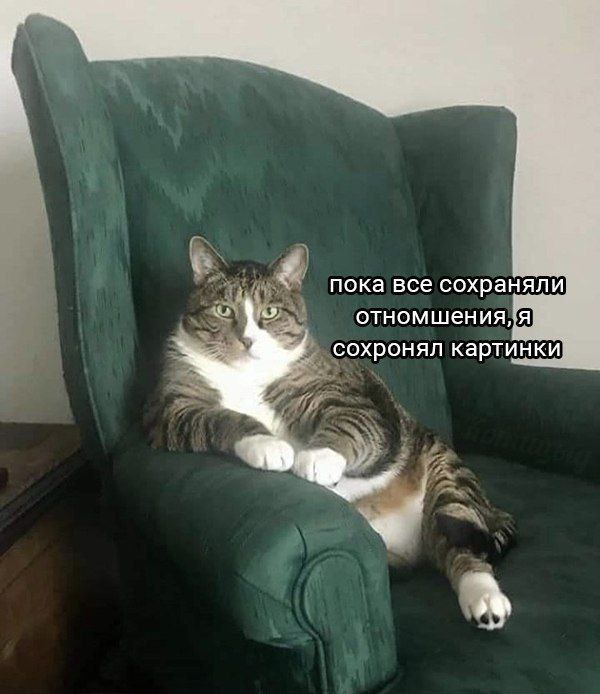 ? ?   ,  , ,  