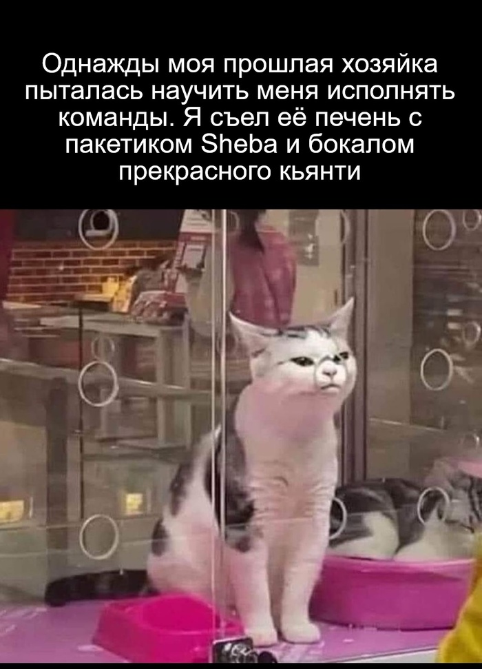    )  , ,  