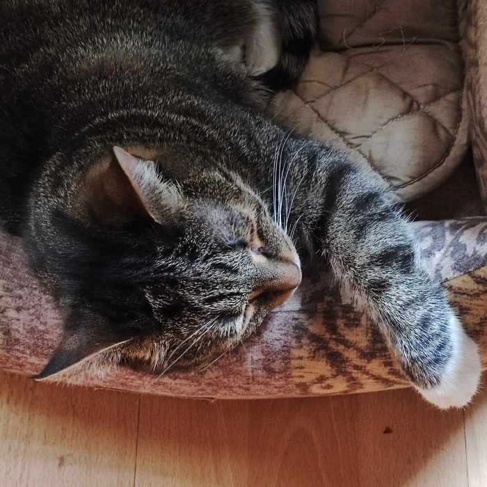 "Бомбометание" - неуд...