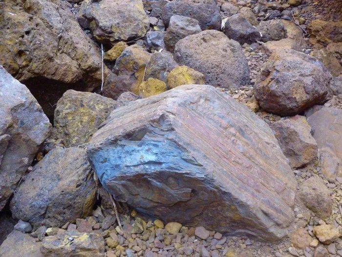 Город Виттенум — самое опасное место Австралии Планета Земля, Земля, Длиннопост