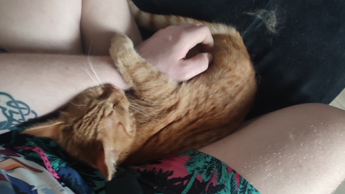 ���� ��������, ������ �������� ���� � ��������.