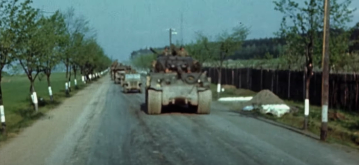 Бессознательные традиции или почему мы белили деревья в городах