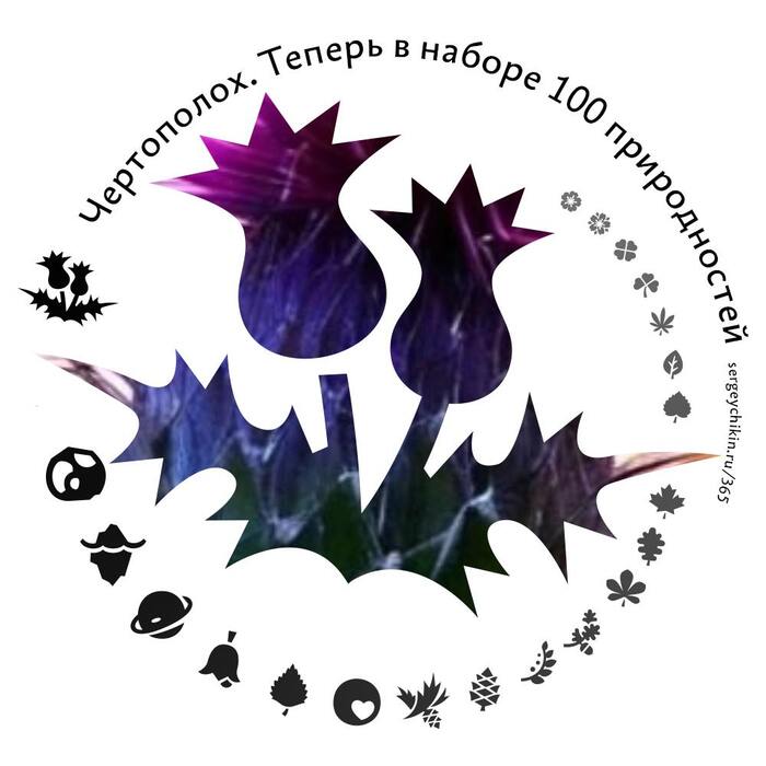 Почти ежедневная иконка — чертополох