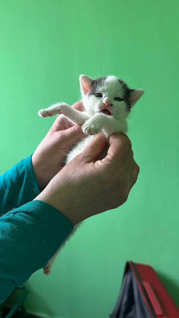 ,    .  5     ..  ,  ,  , , , ,  ,  , ,  , , , ,   