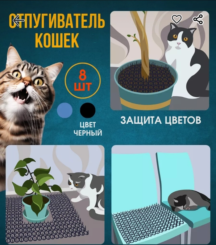 Как отучить кота рыть землю в горшках