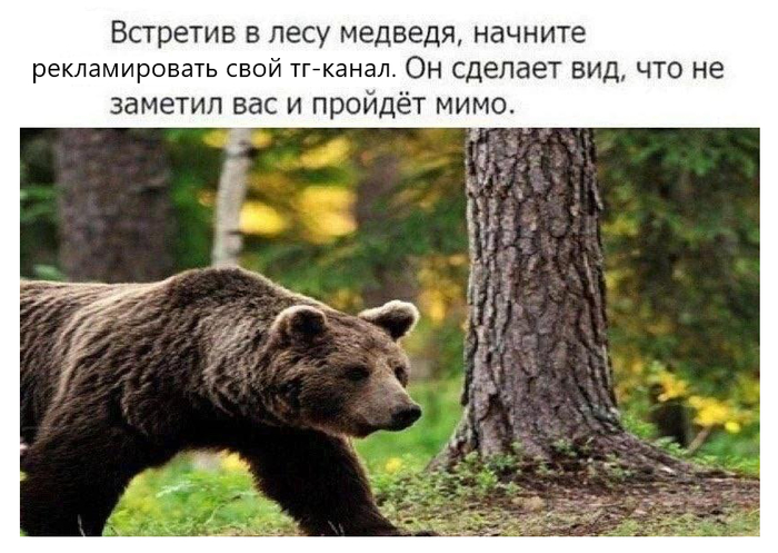  -   - (^_~)