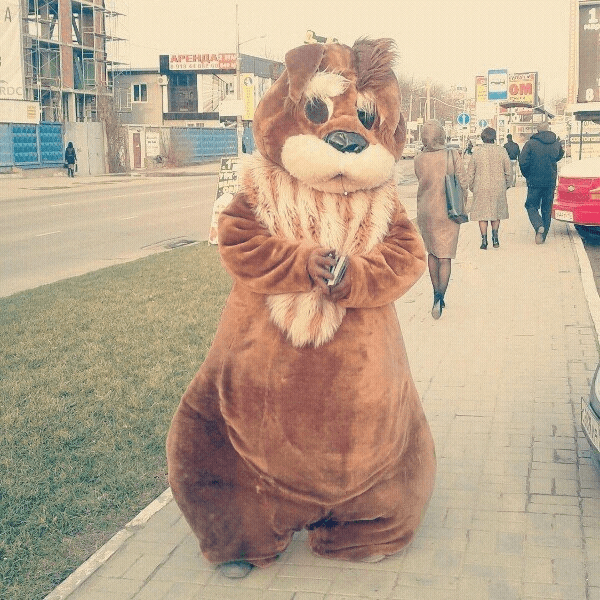 : ,       - ,      .         ,    .  , ,  .