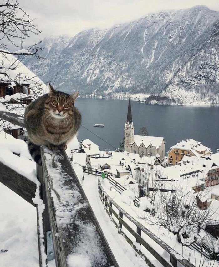   , , , , , ,  , ,  