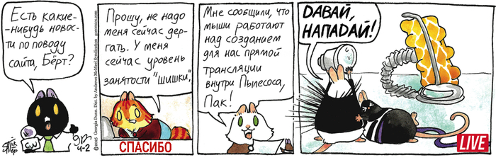 Котейкины Новости от 02.04.2025