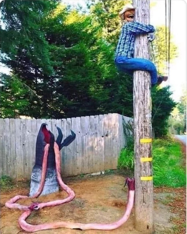 ,   , ,  , , 