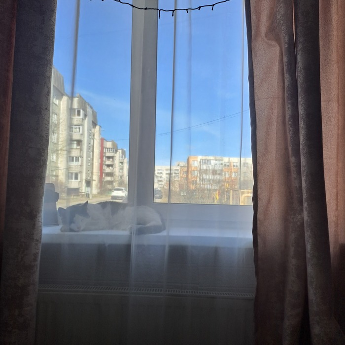 Дневной сон