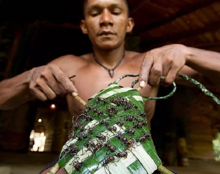 …а потом вплетают в особую перчатку