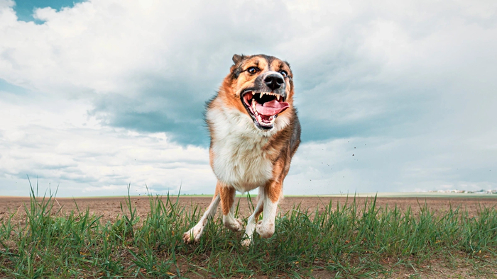 У меня нет слов...