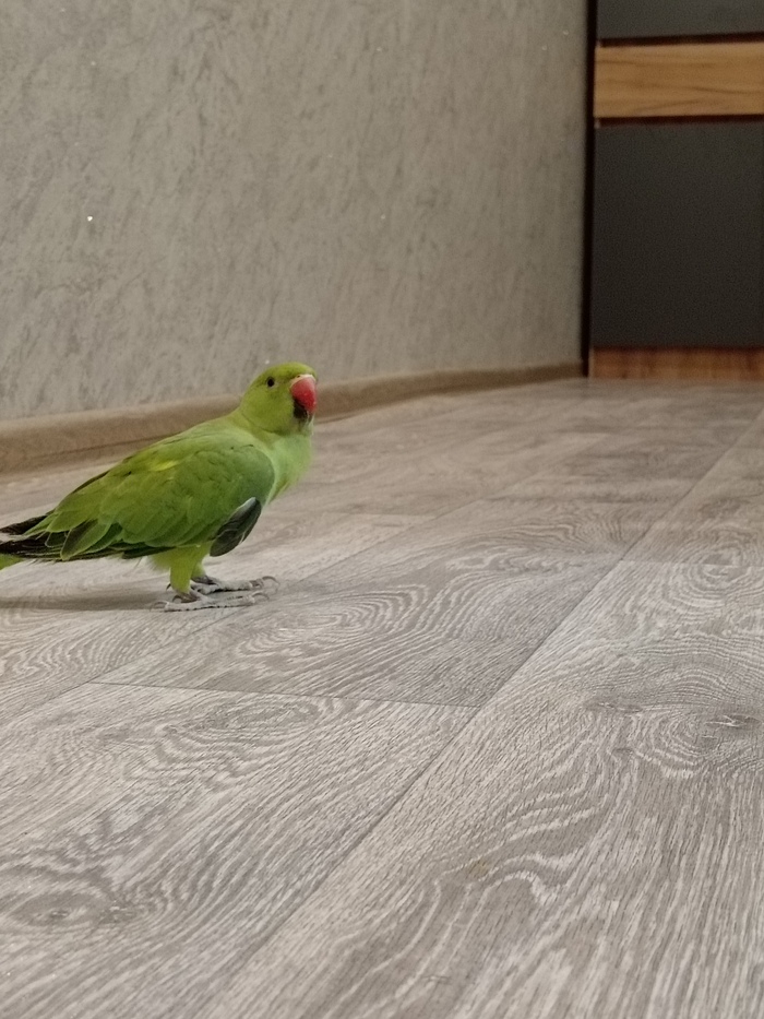 ������ ��� "������", ��������?)