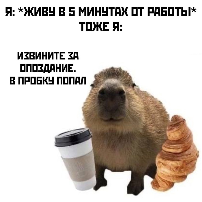      ?      , , , ,  ,   