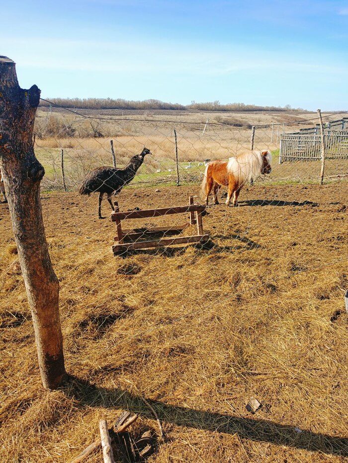 �� ������ ��� �� �������))