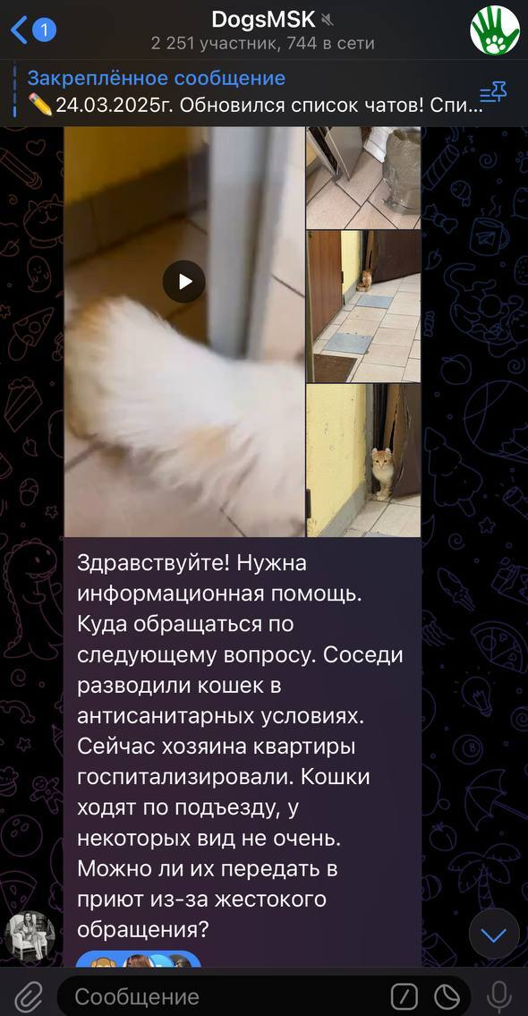    ,       13   .  1  , , ,  ,  , ,  , ,  , ,  ,  ,  , 
