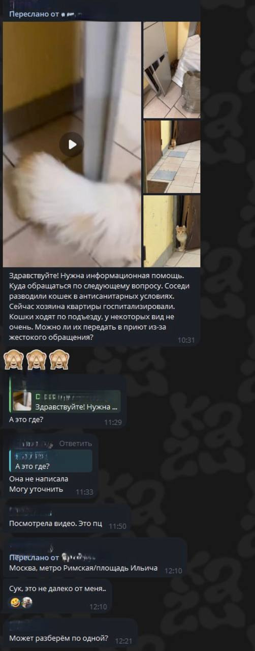     25 .   ,   "  "       ))  ,   , ,  ,  , , , , ,  ,  , , , ,  , , ,  ,  ,  , 