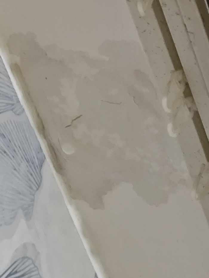 Только что ремонт сделал и с потолка опять вода льется.