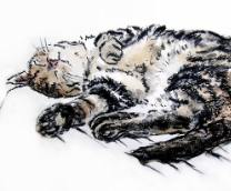 ��������