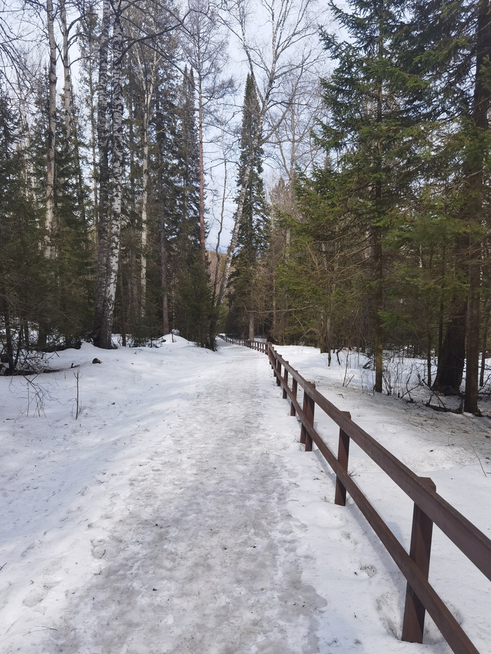 Отдохнула рабочей душой, нагрузила зазимевшее тело Природа, Юмор, Сойка, Тренировка, Самоирония, Созерцание, Видео, Вертикальное видео, Короткие видео, Длиннопост, Красноярские столбы, Поход, Пвд, Весна