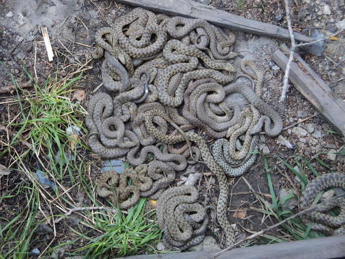 ,    .            ,     .