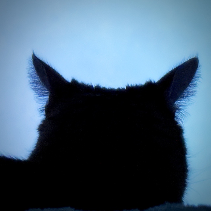   ,     ? , , , 