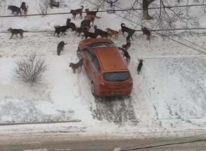 ��������� ������� ������� ��������� ���� ��-�� ����� � ������� ���� ���������� �������