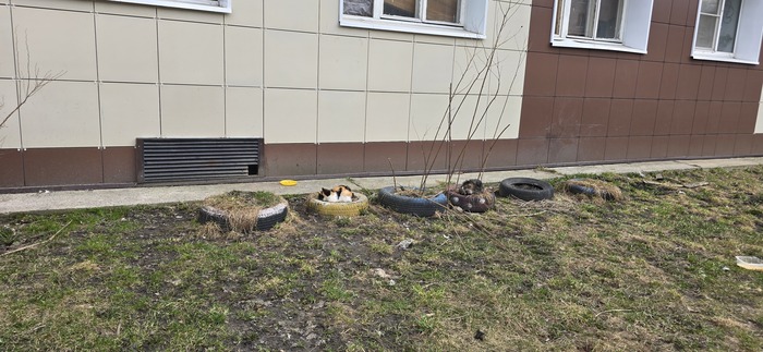 ��� �������� �������?