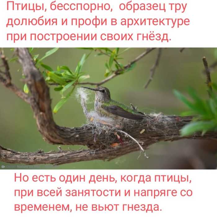    .    ... , , , ,   