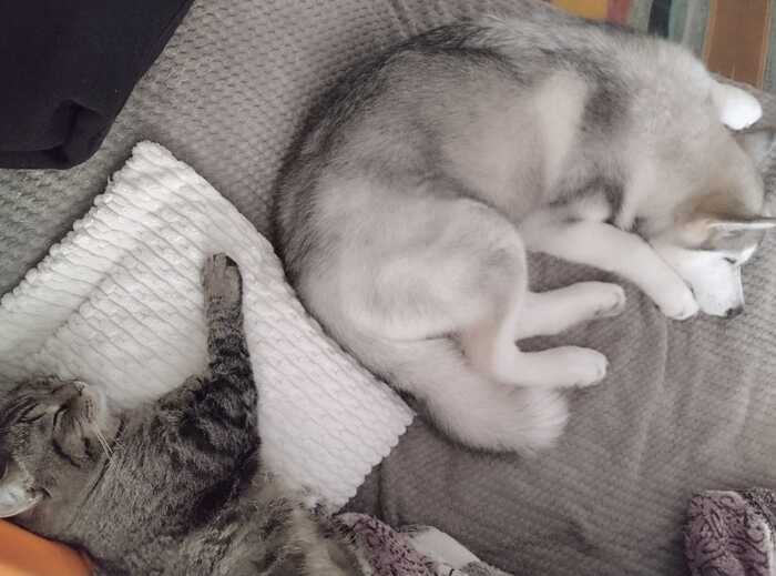     10      ,  , , , 